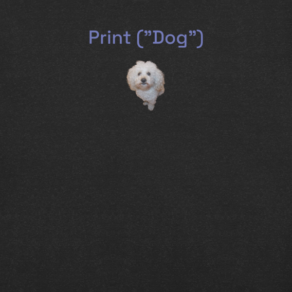 Camiseta Camidog - Imagen 6