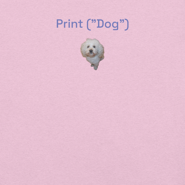 Camiseta Camidog - Imagen 3